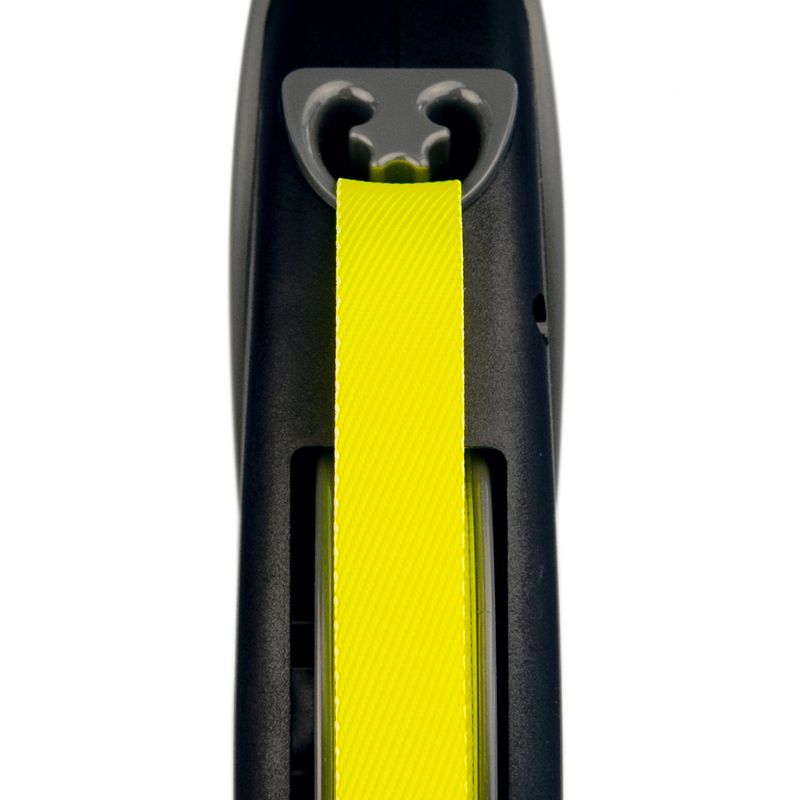 Flexi Giant Professional