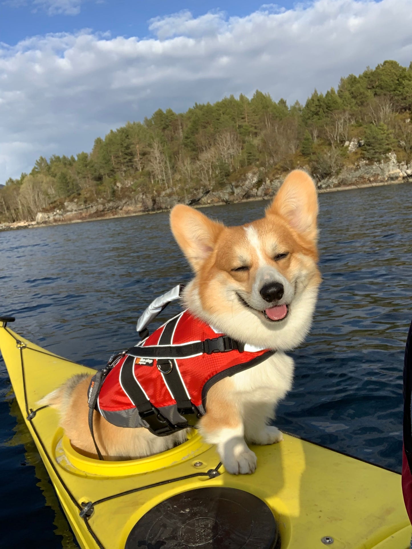 Safe Life Jacket Outlet