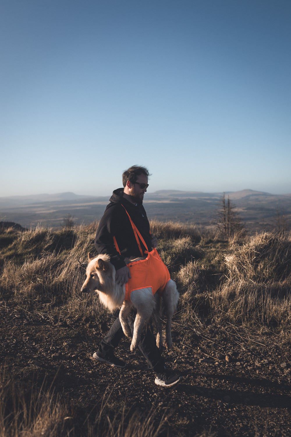 Dog resce sling