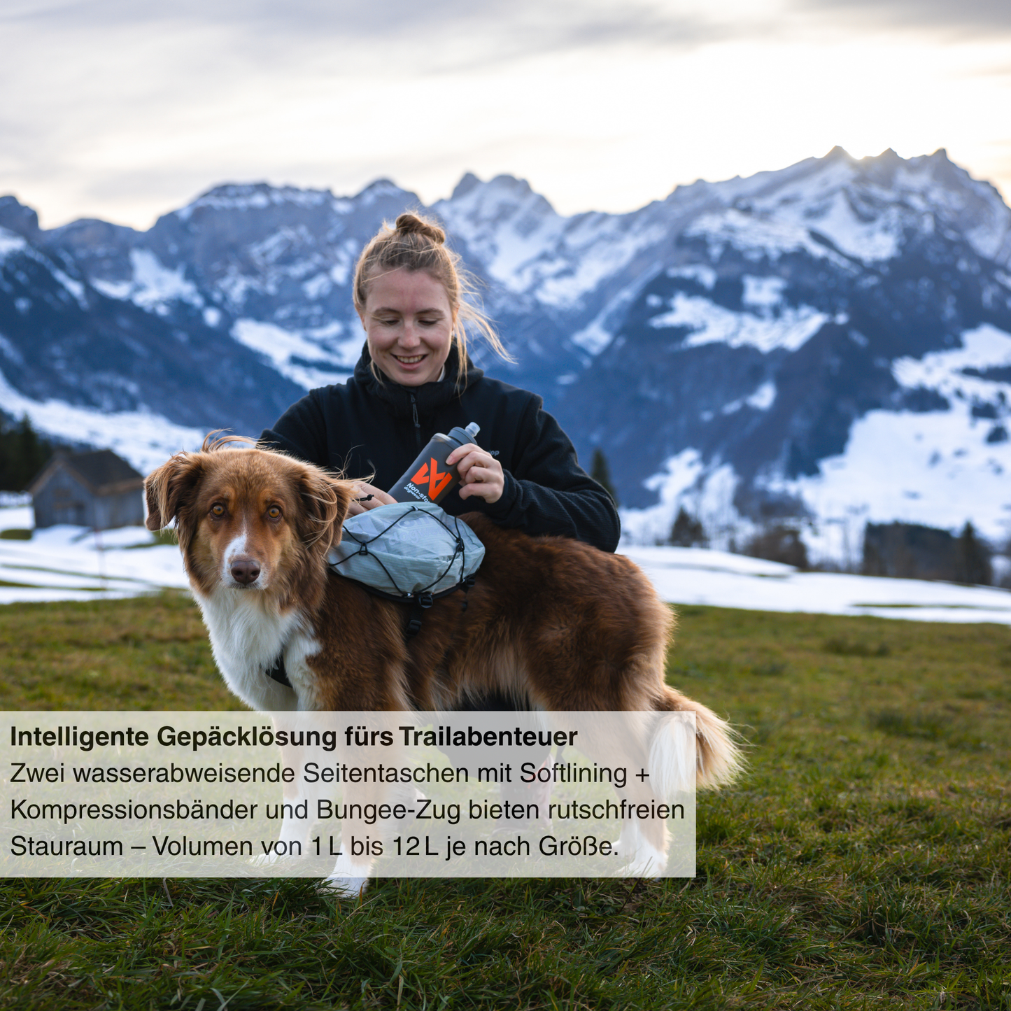 Trail Light Dog Backpack