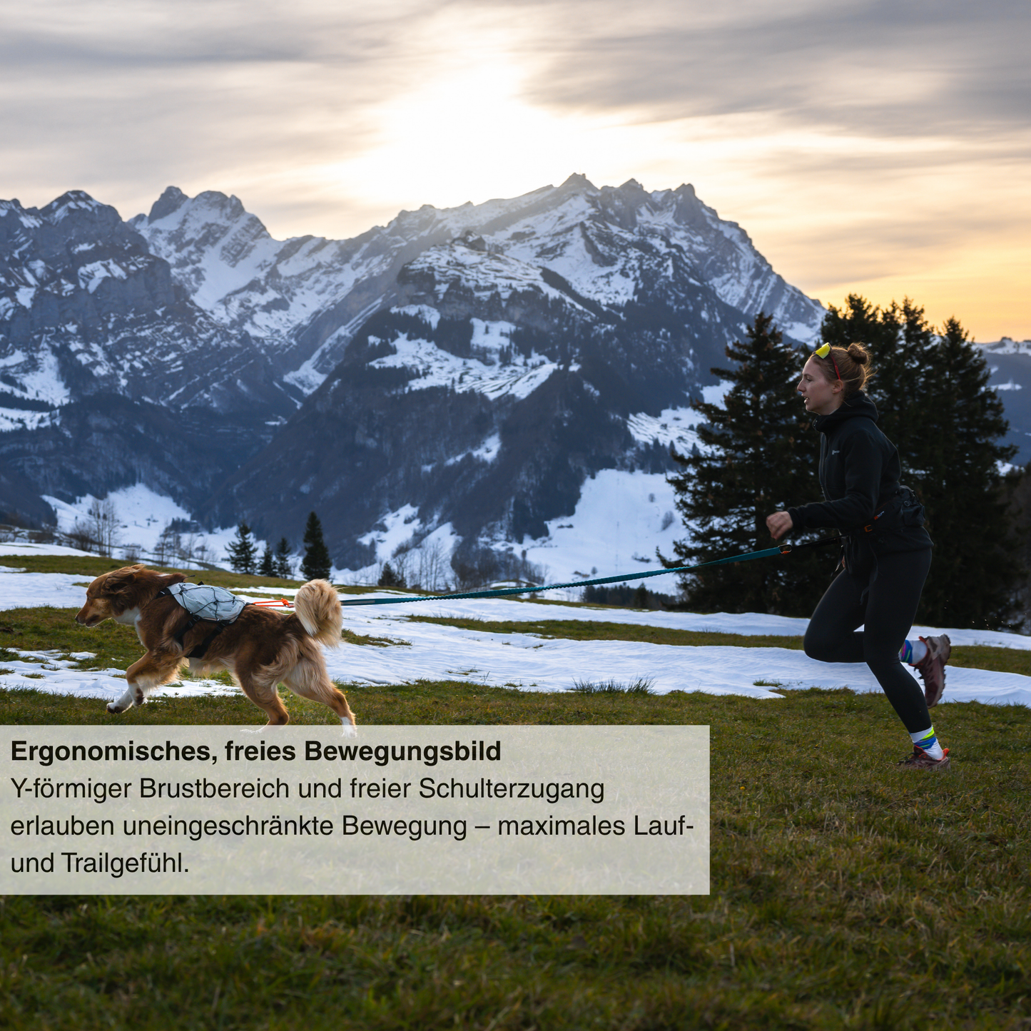 Trail Light Dog Backpack