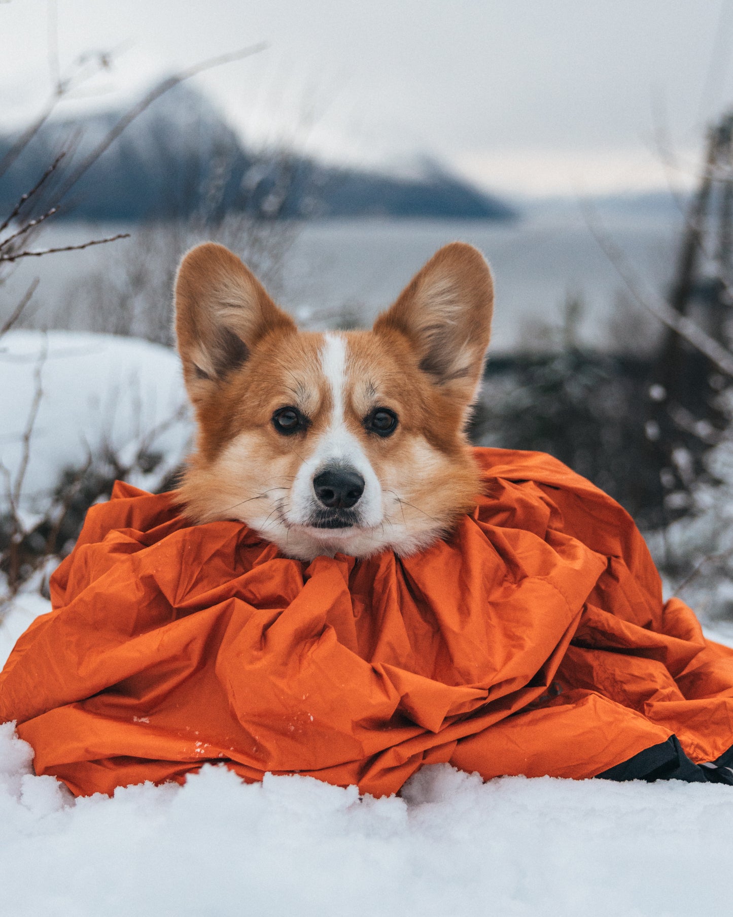 Protector Bivvy Bag