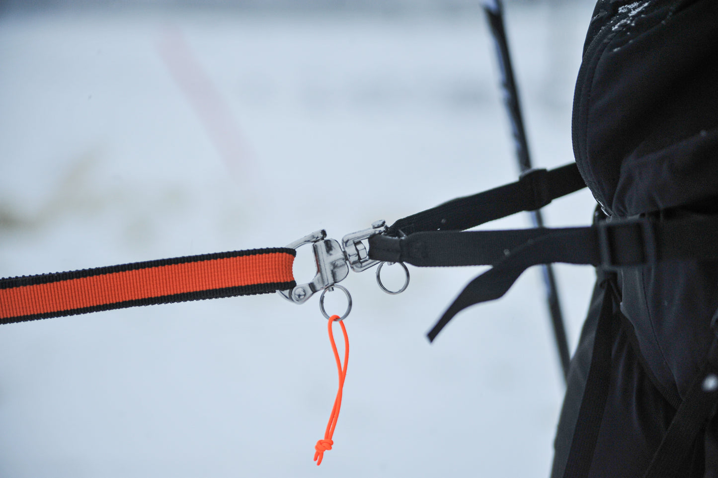 Loype belt pro