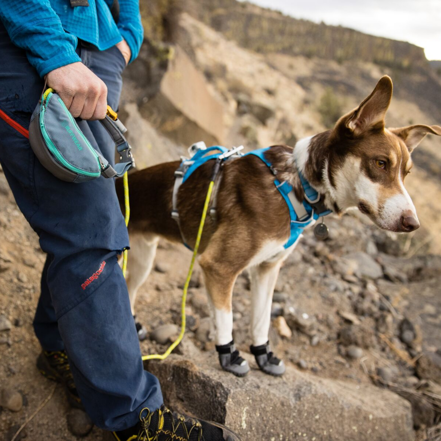 Hitch Hiker™ Leash