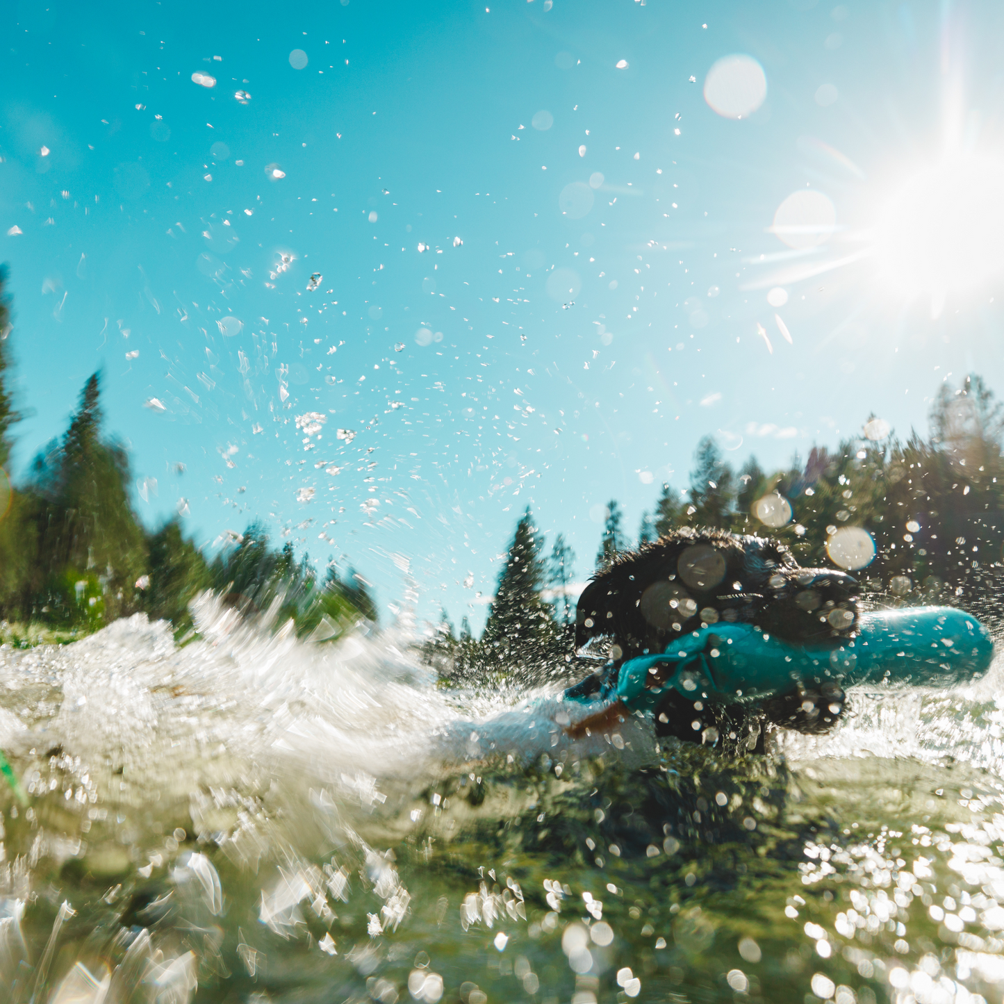 Lunker™ Floating Throw Toy