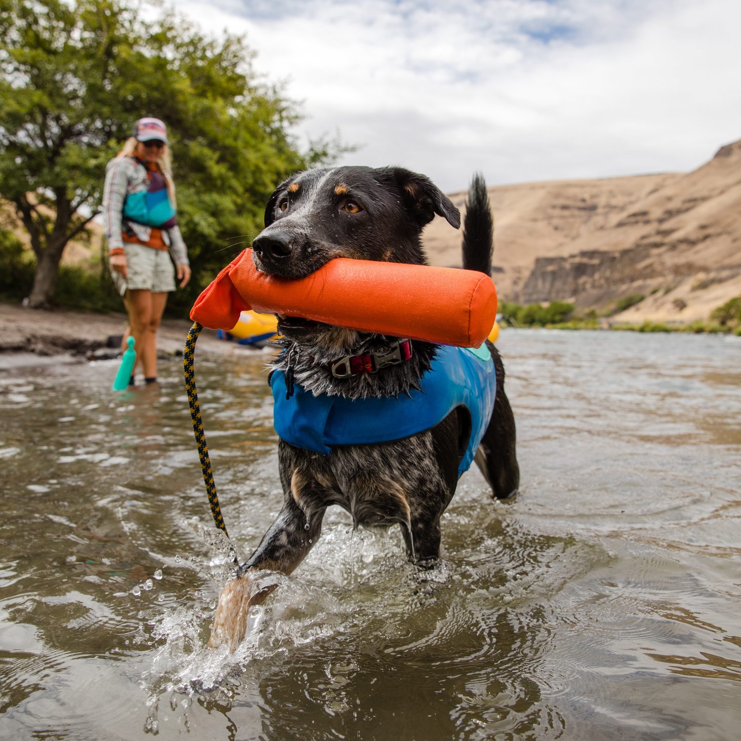 Lunker™ Floating Throw Toy