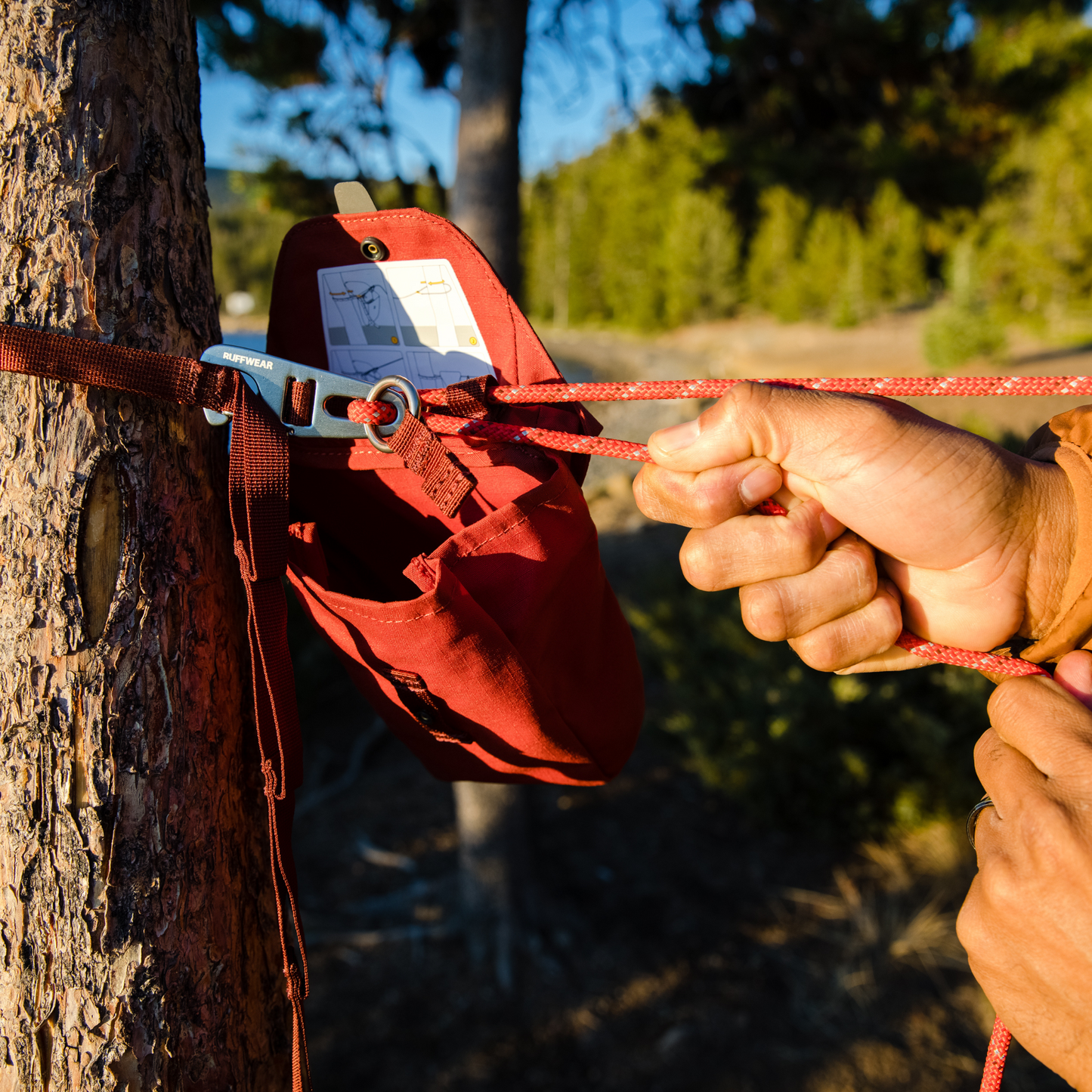 Knot-a-Hitch™ Dog Tether