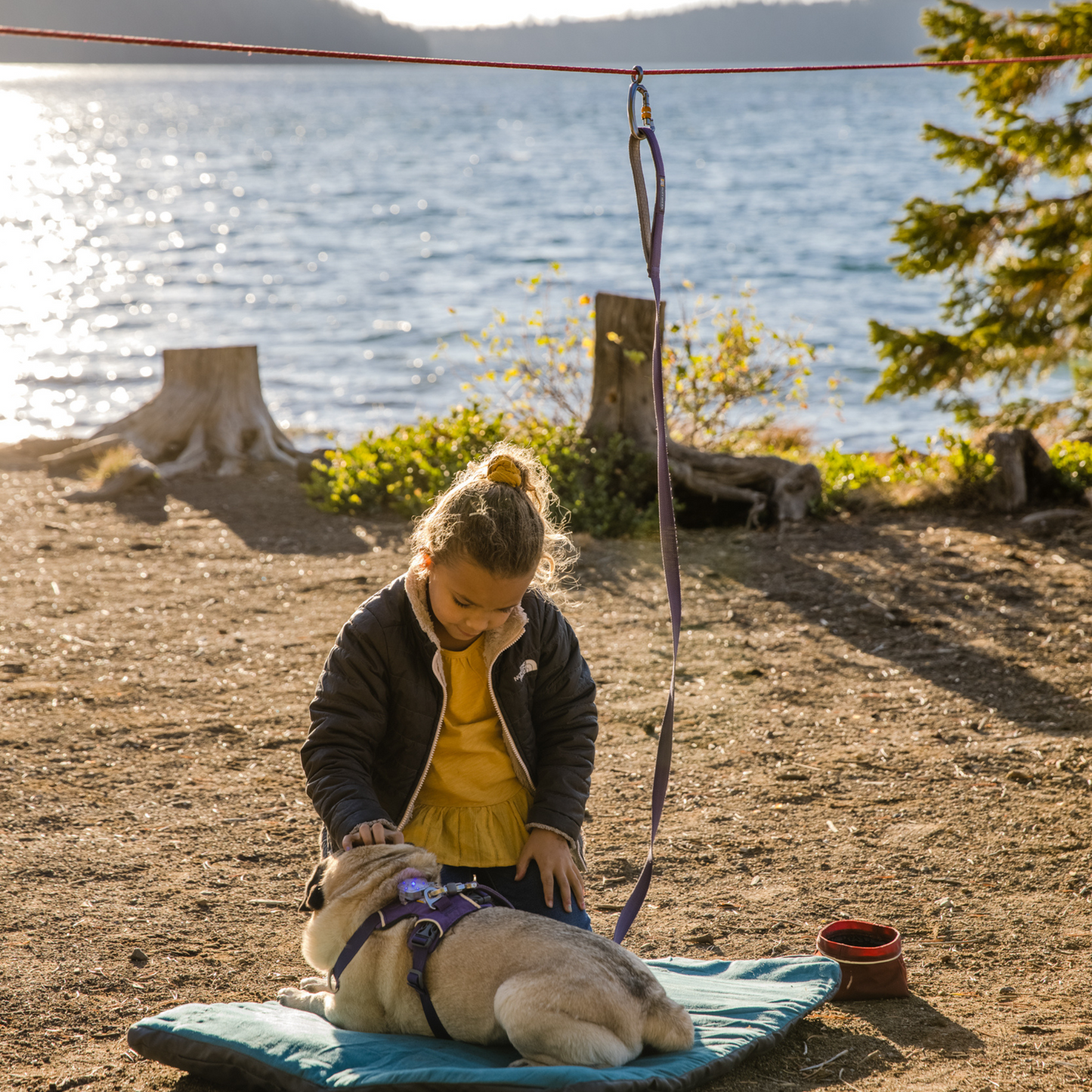 Knot-a-Hitch™ Dog Tether
