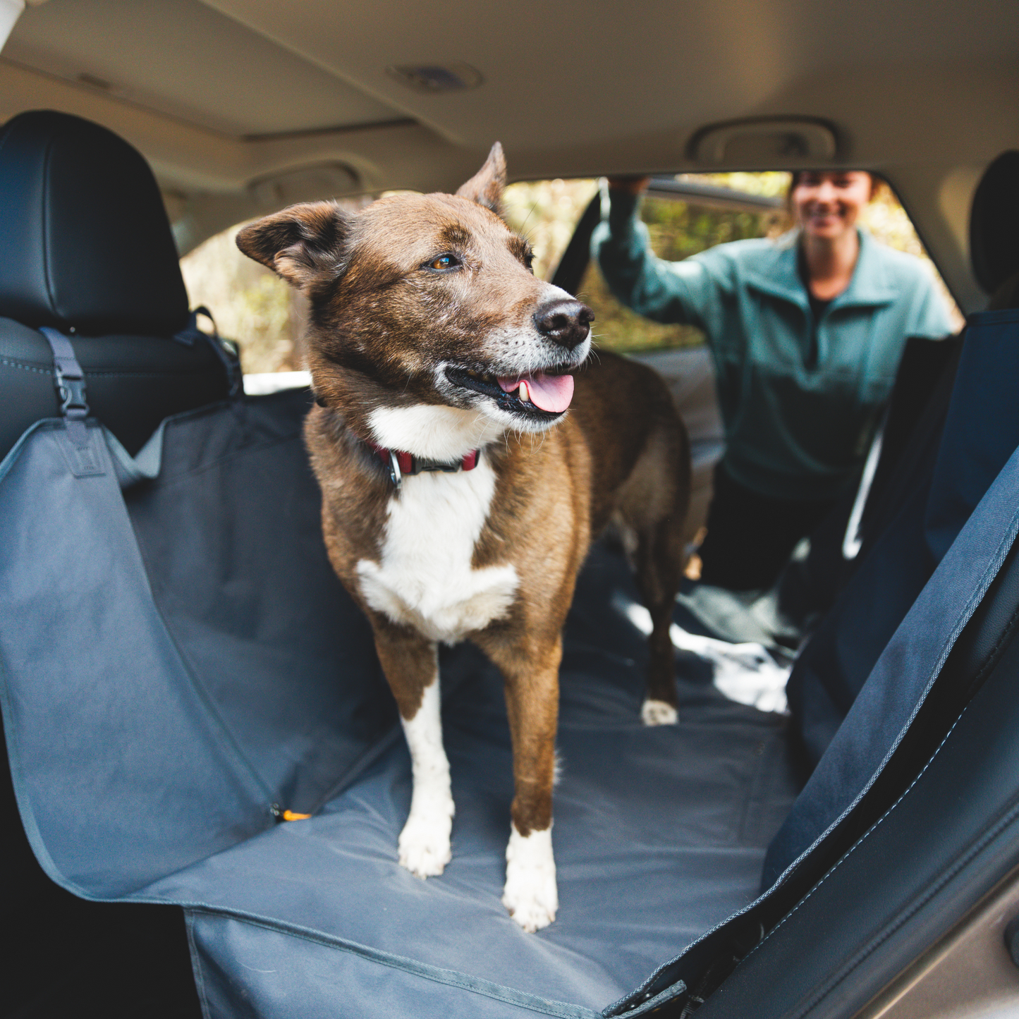 Dirtbag™ Dog Car Seat Cover
