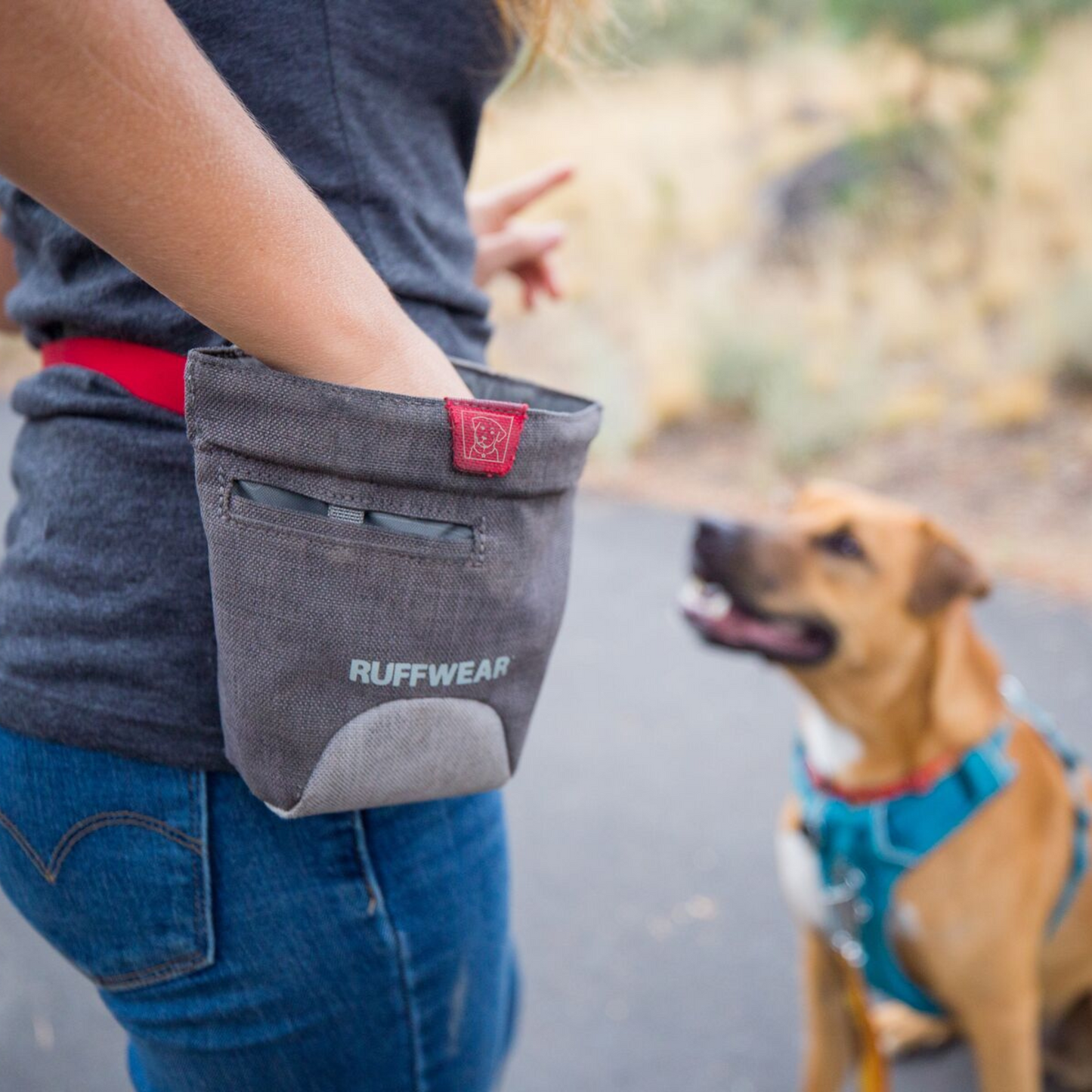 Treat Trader™ Dog Treat Pouch