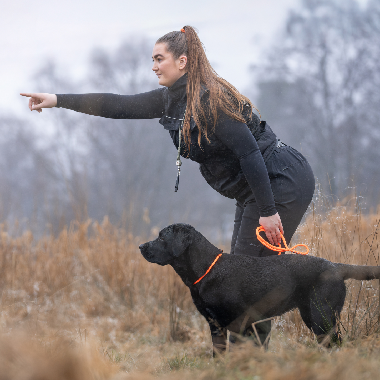 Retriever Leash