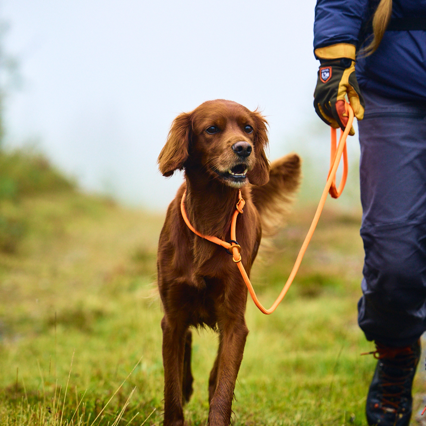 Retriever Leash