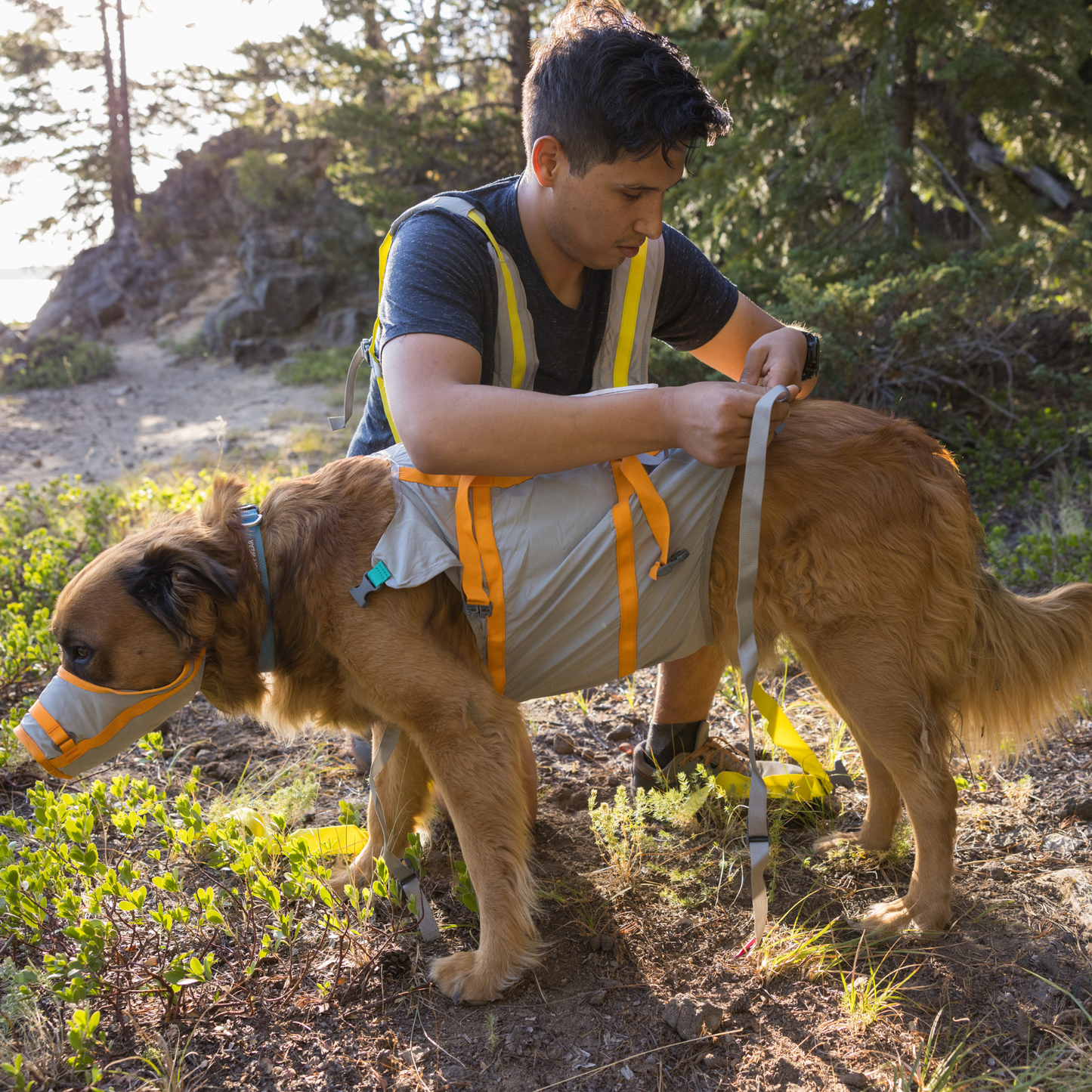 BackTrak™ Dog Evacuation Kit