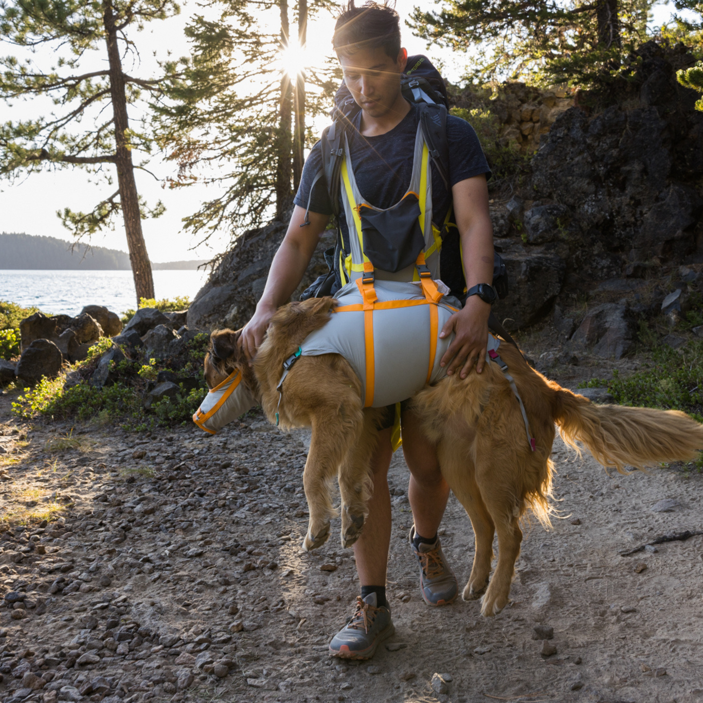 BackTrak™ Dog Evacuation Kit
