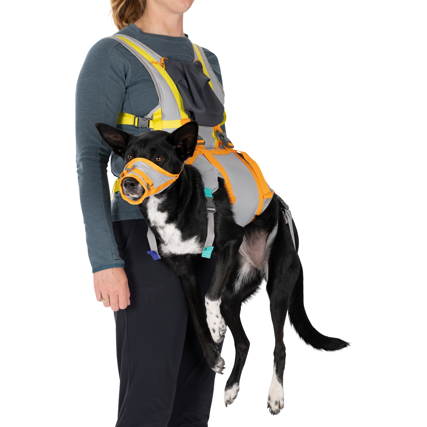 BackTrak™ Dog Evacuation Kit
