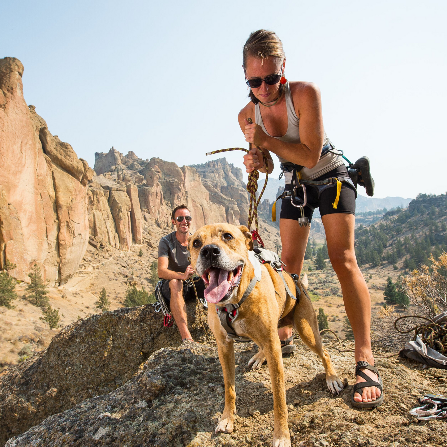 Ruffwear Doubleback™ Harness