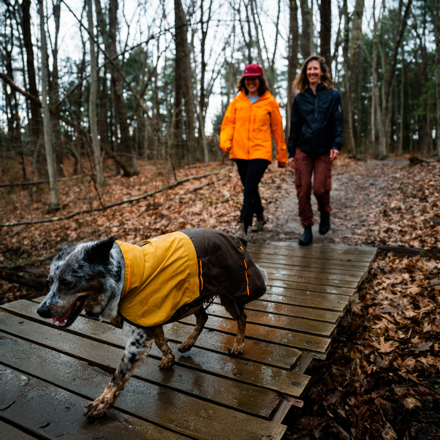 Sun Shower™ Dog Raincoat