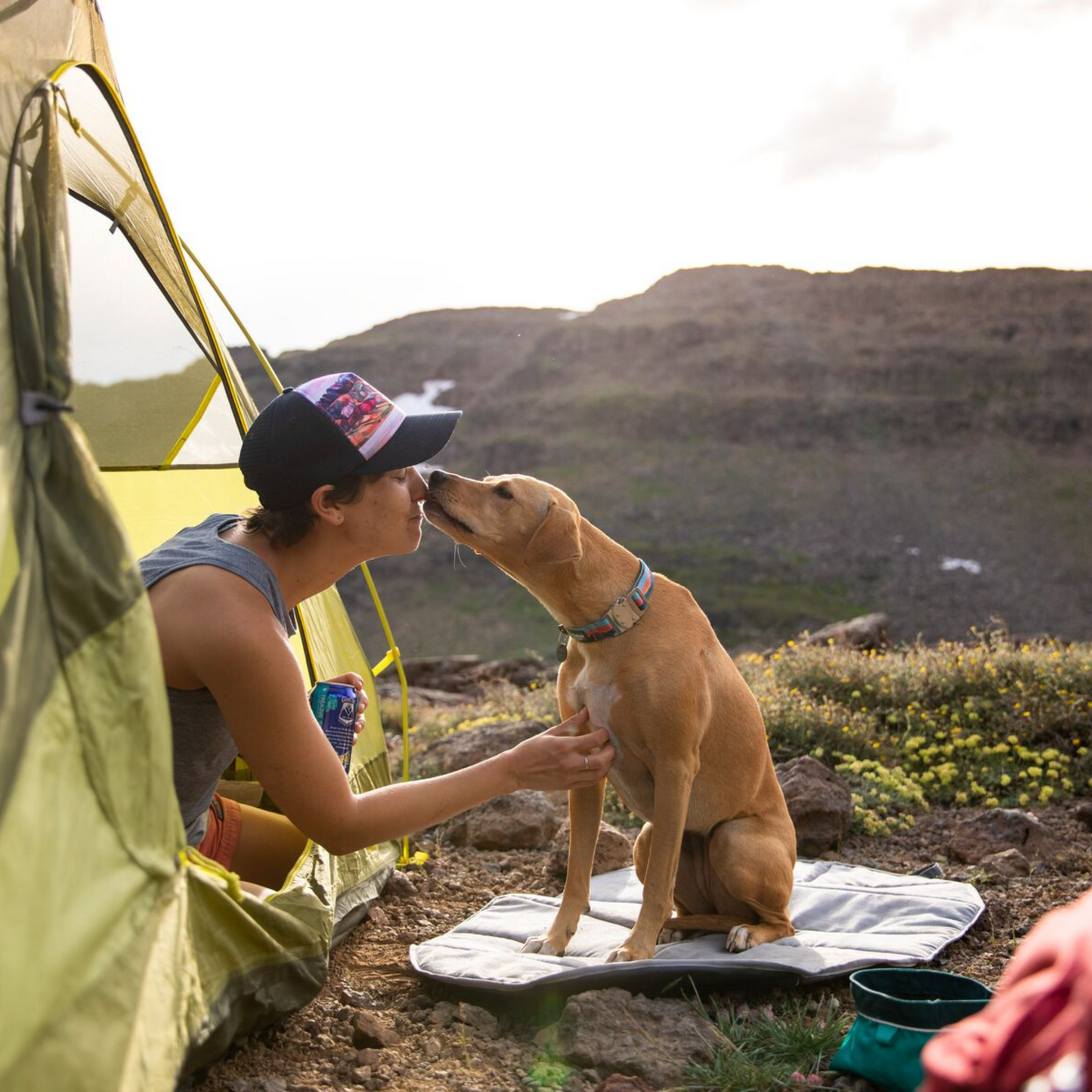 Highlands™ Dog Pad
