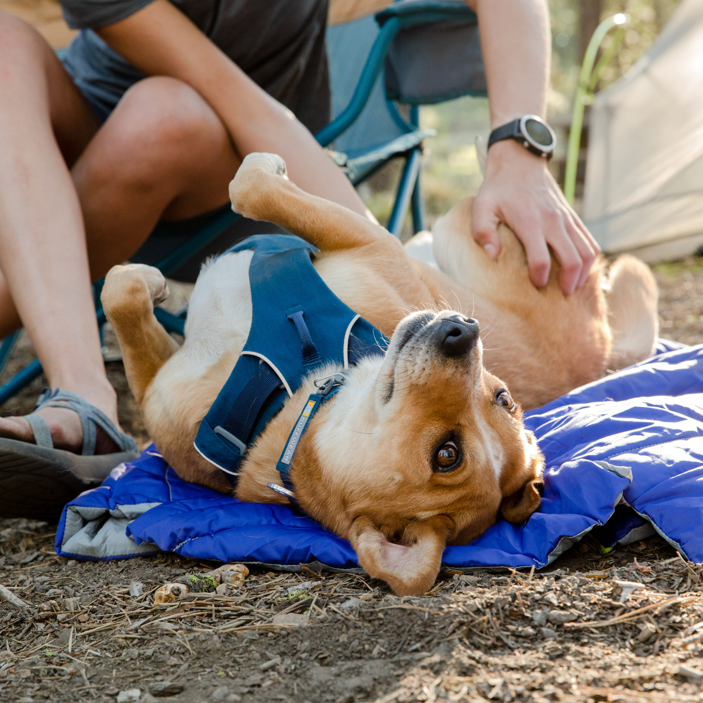 Highlands Sleeping Bag