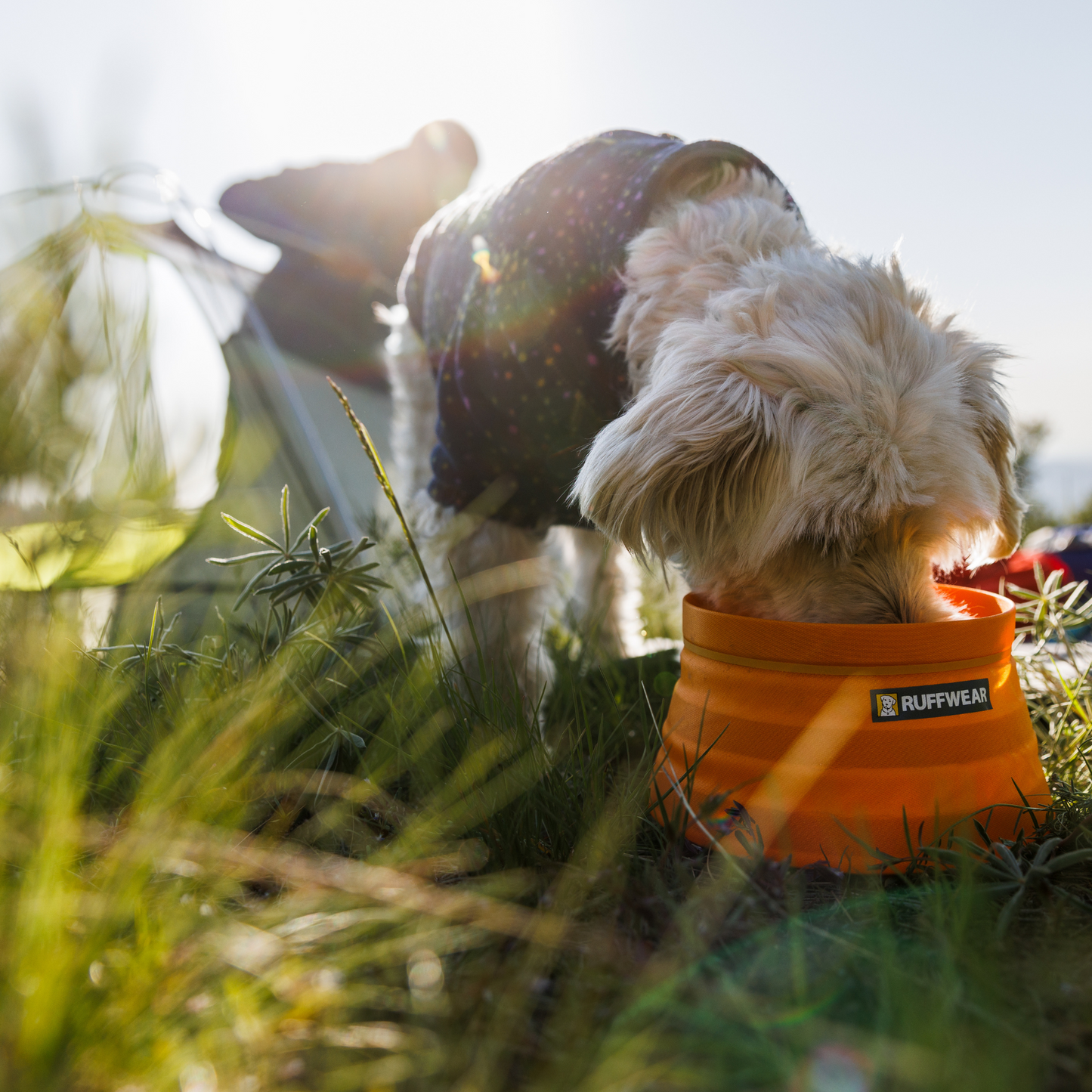 Bivy™ Collapsible Dog Bowl