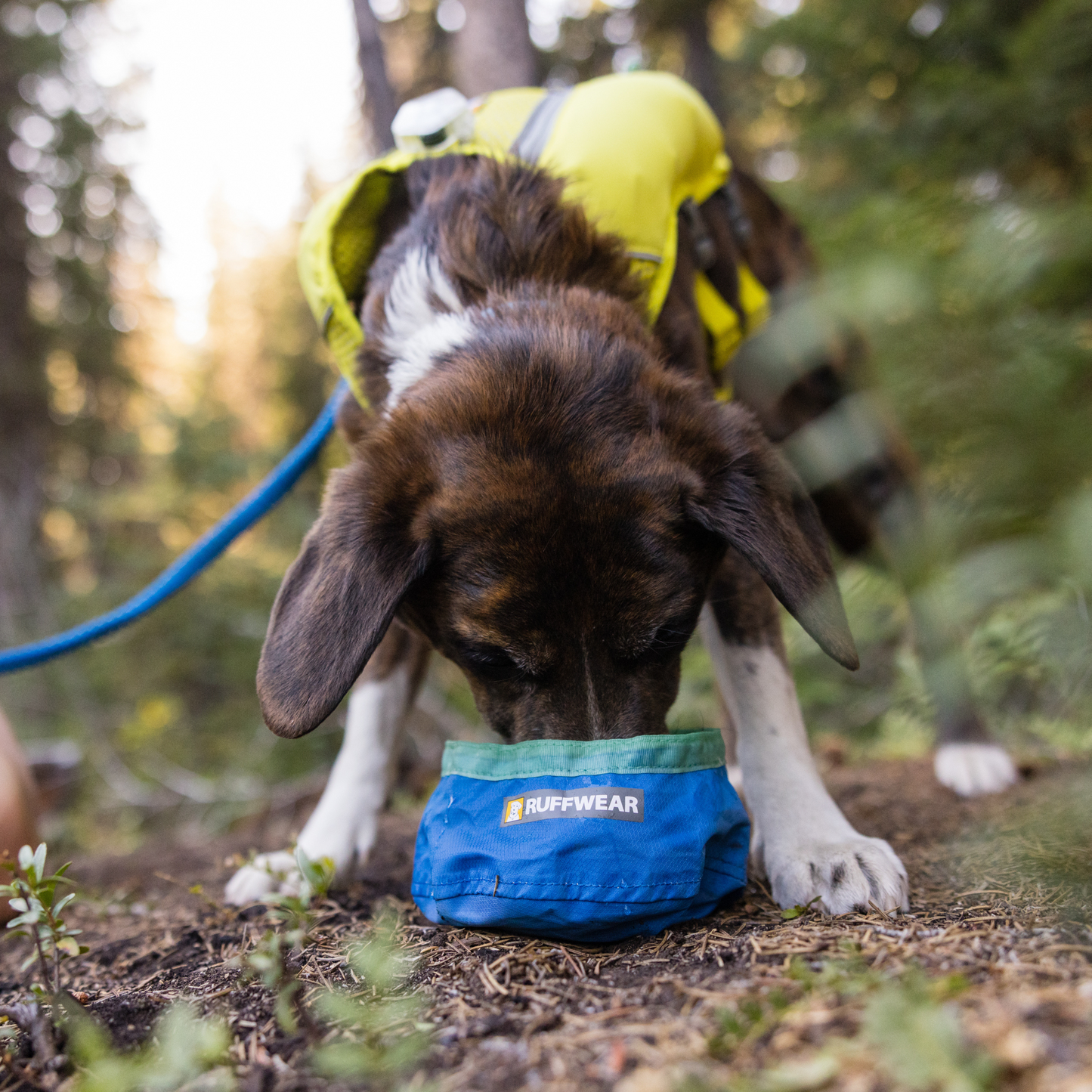 Trail Runner™ Ultralight Dog Bowl