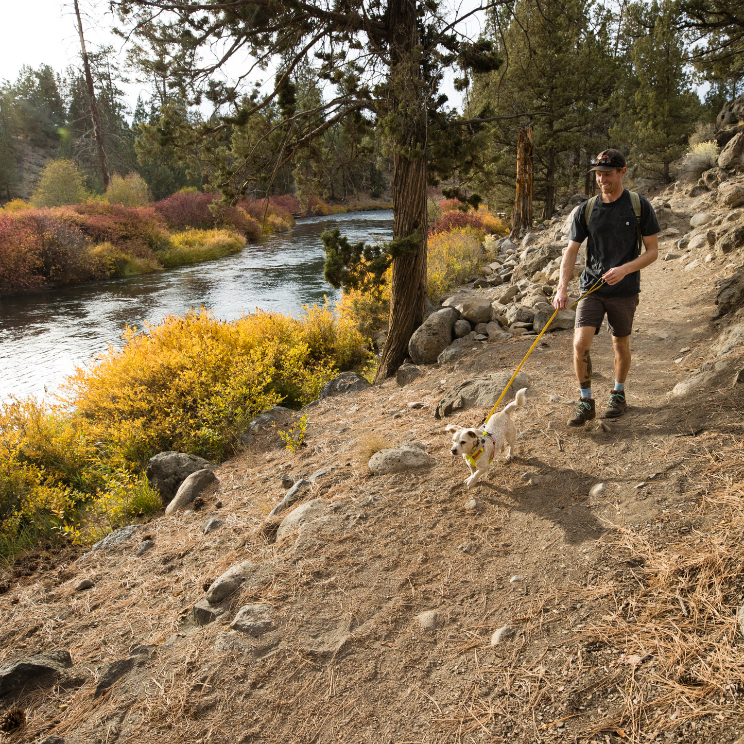 Hi & Light™ Lightweight Dog Harness