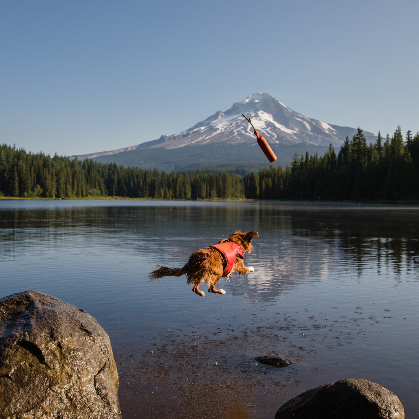 Lunker™ Floating Throw Toy