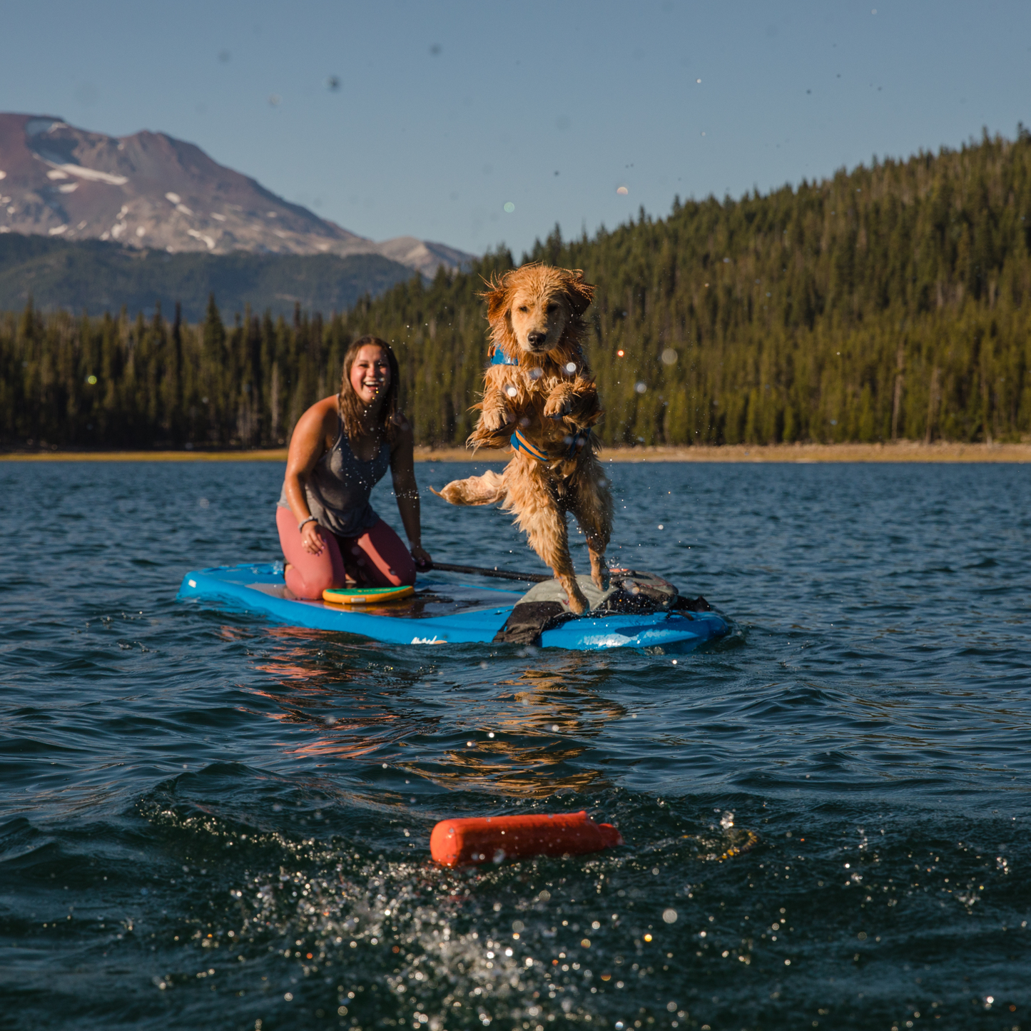 Lunker™ Floating Throw Toy