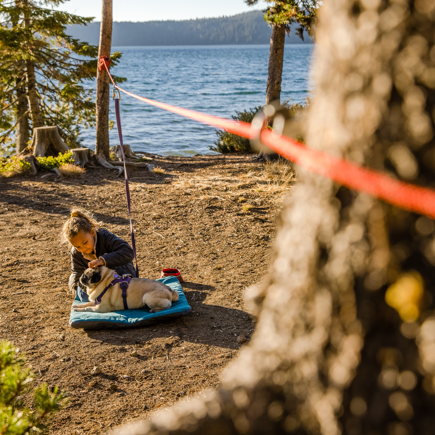 Knot-a-Hitch™ Dog Tether