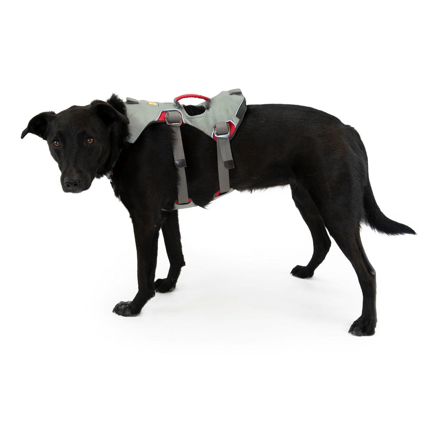 Ruffwear Doubleback™ Harness