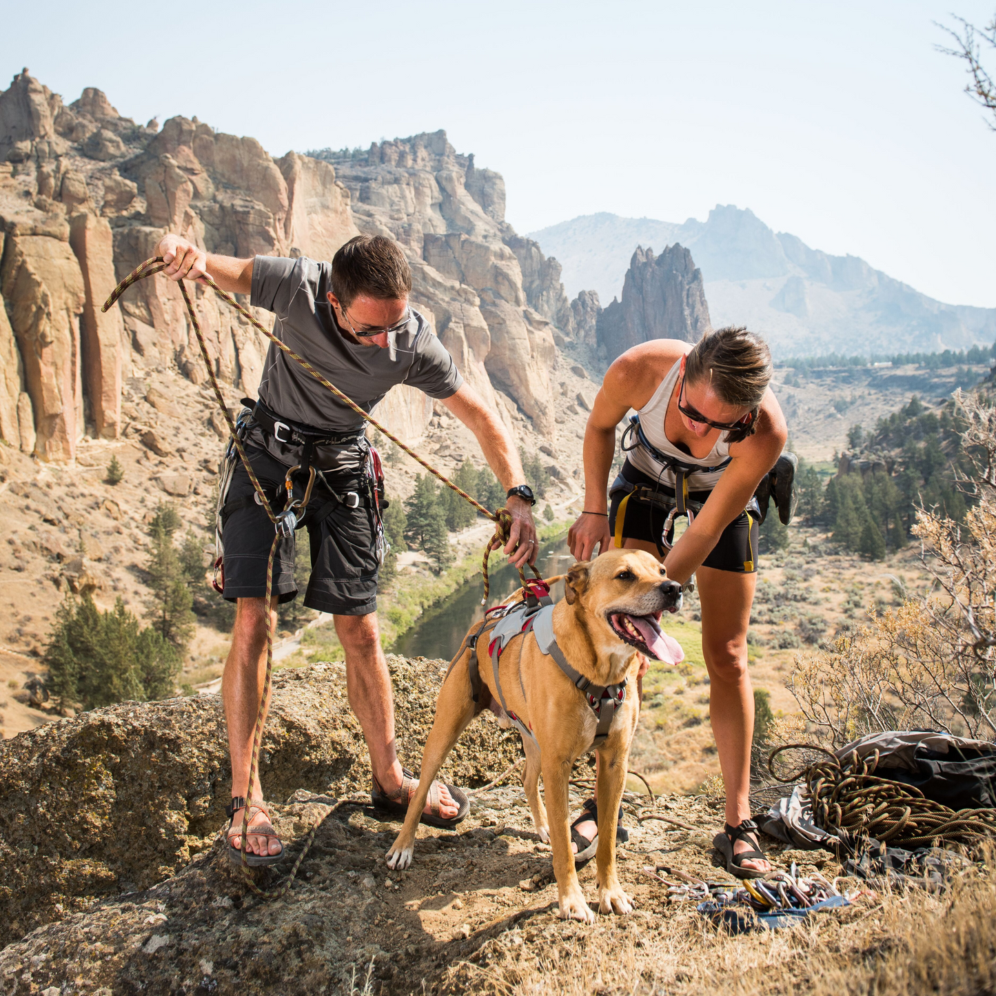 Ruffwear Doubleback™ Harness
