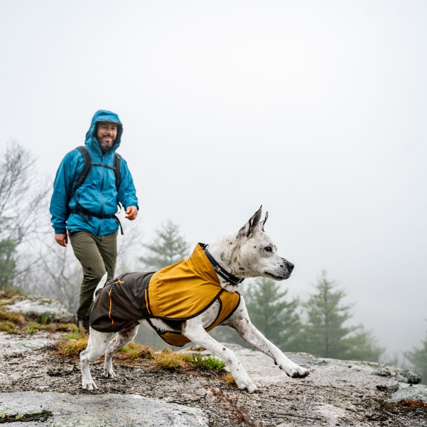 Sun Shower™ Dog Raincoat