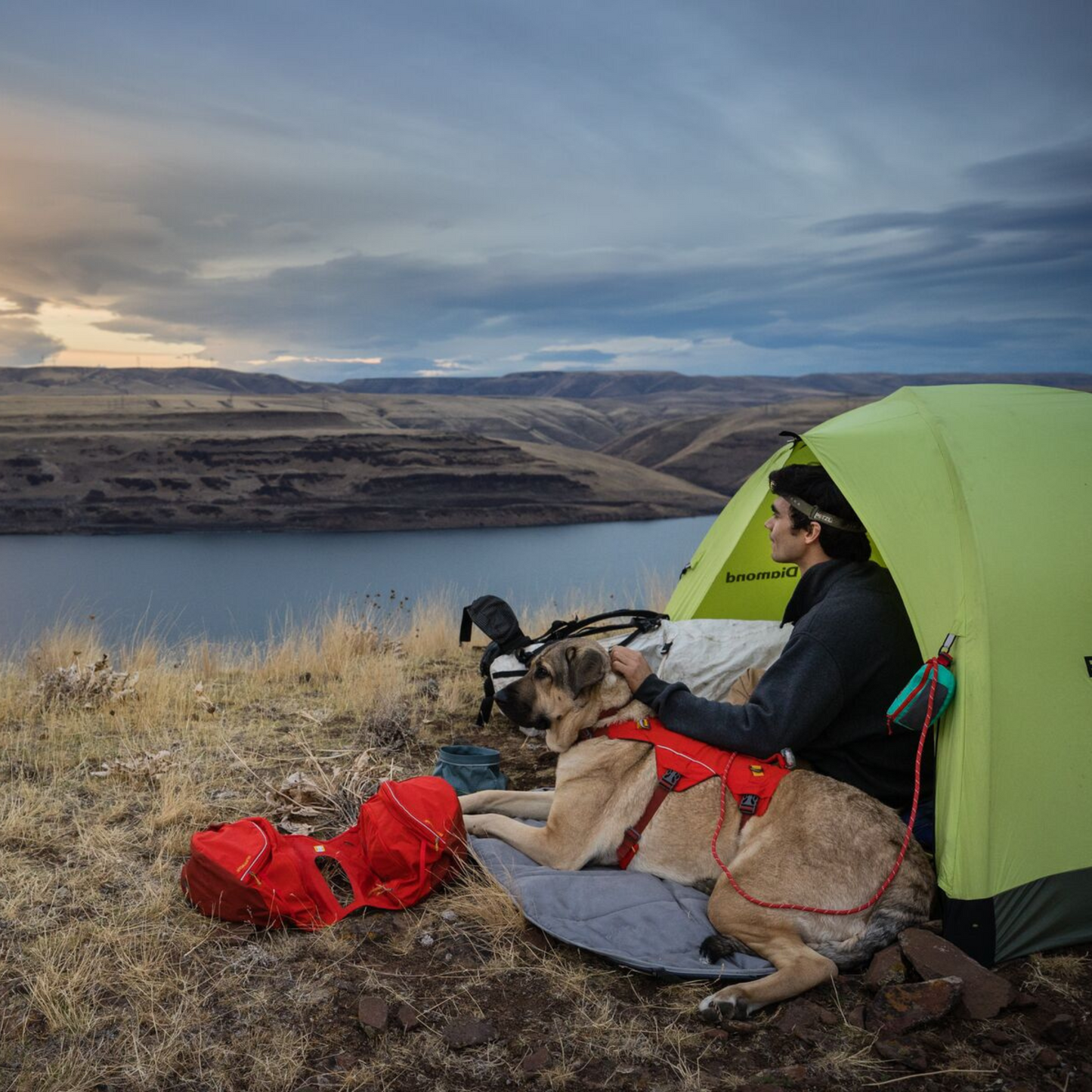 Highlands™ Dog Pad
