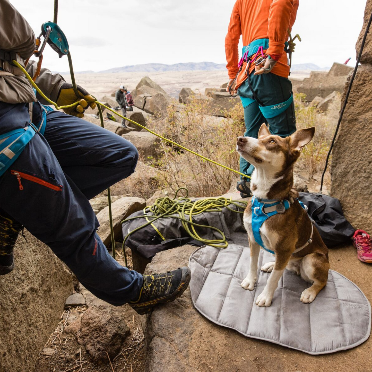 Highlands™ Dog Pad