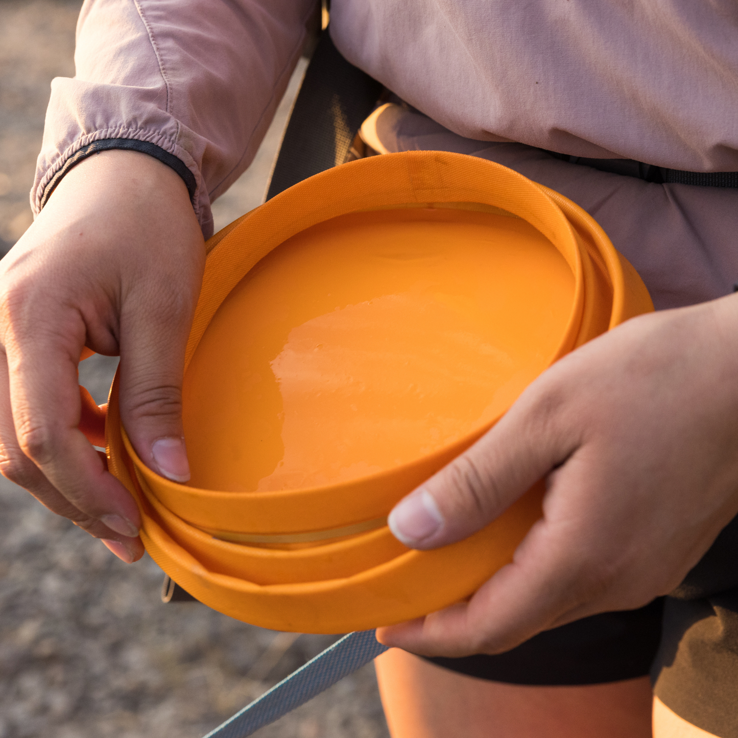 Bivy™ Collapsible Dog Bowl