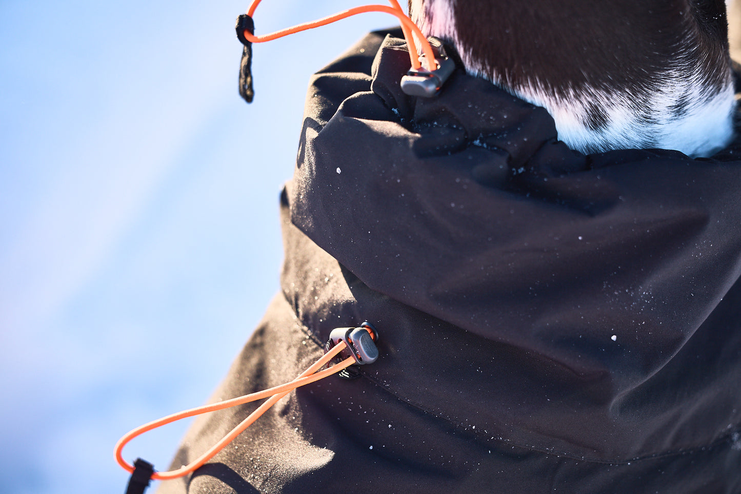 Trekking insulated dog jacket