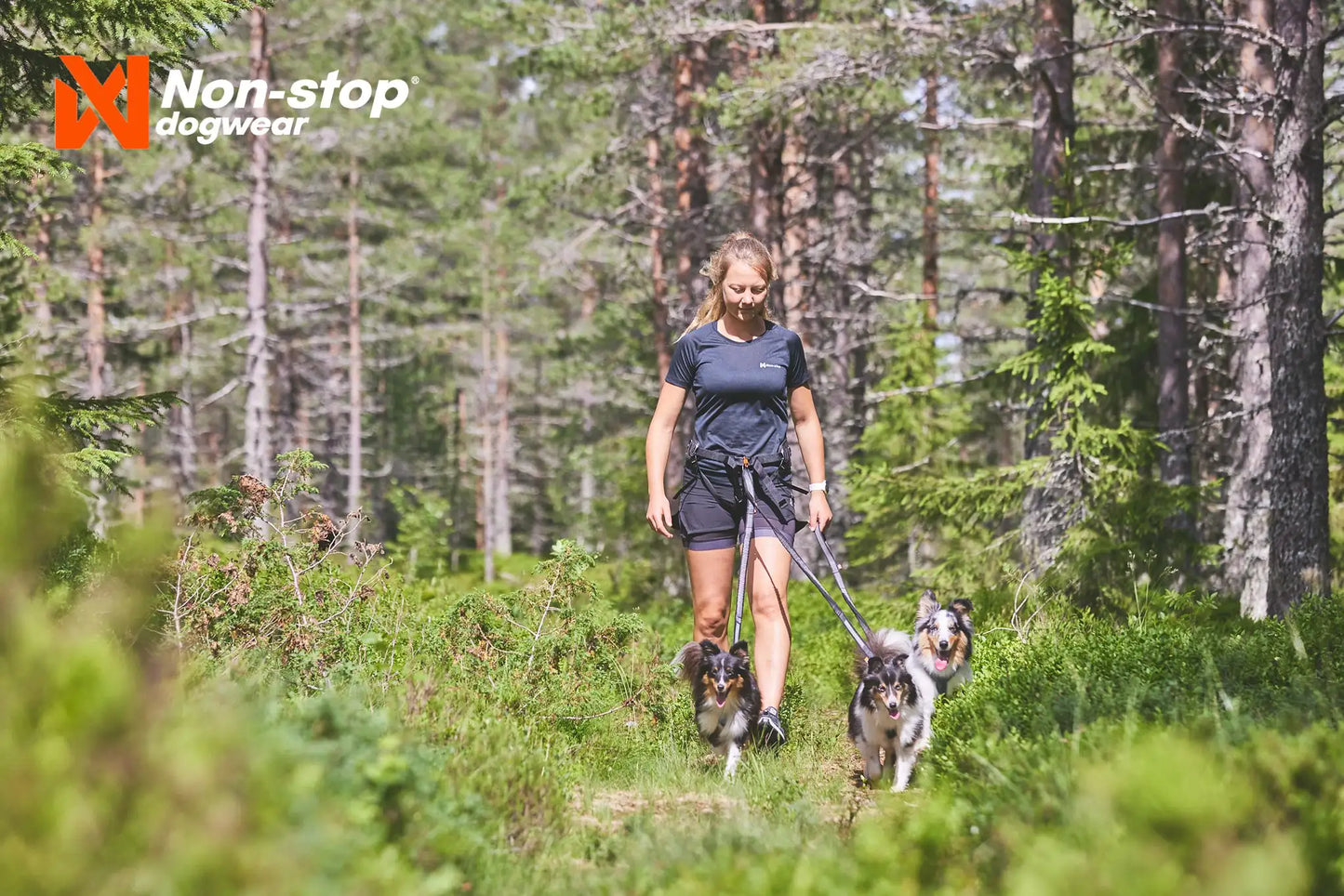Spazieren mit Hund