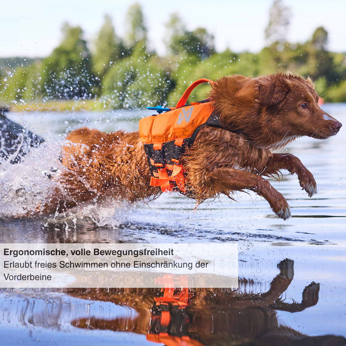 Protector life jacket