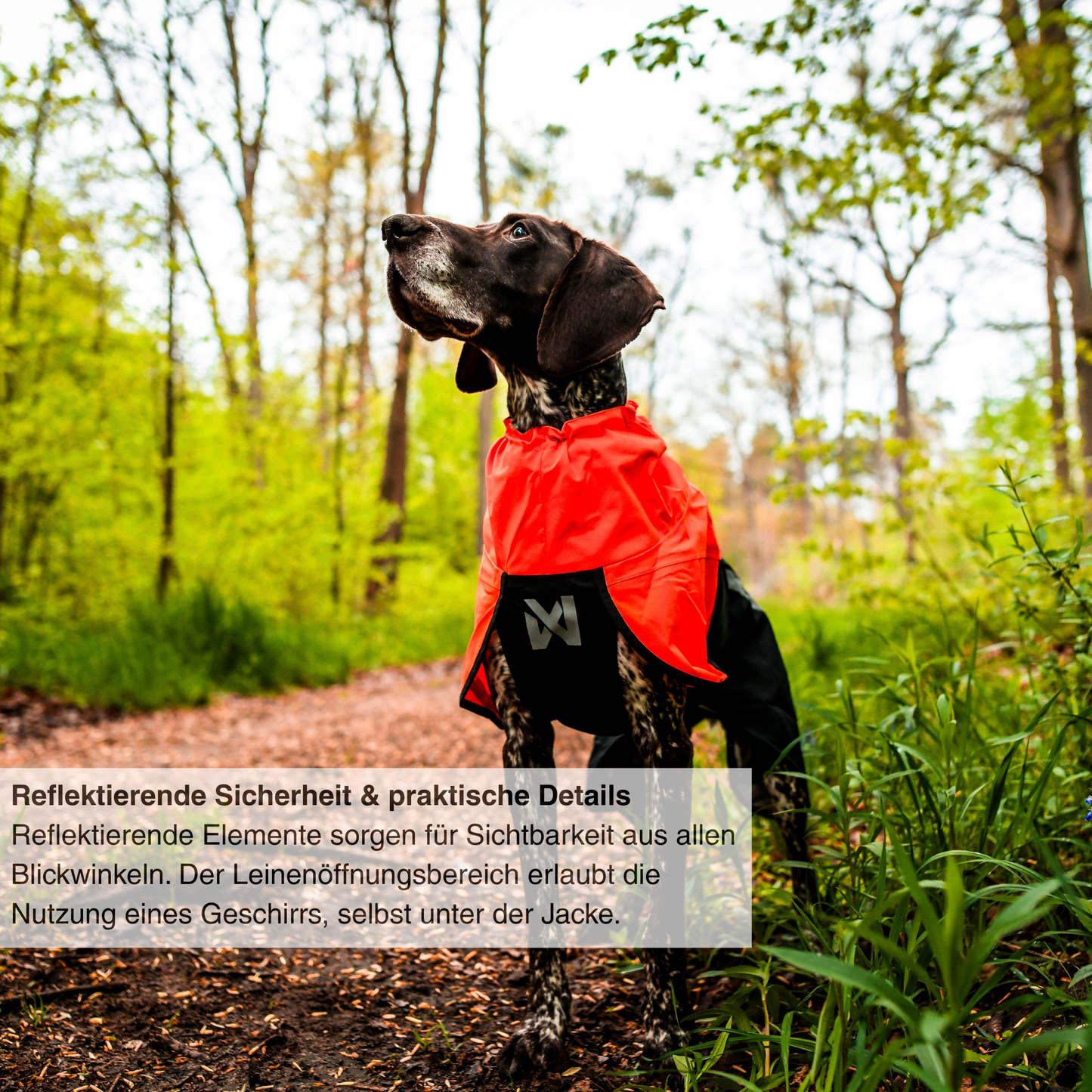 Fjord raincoat 2.0