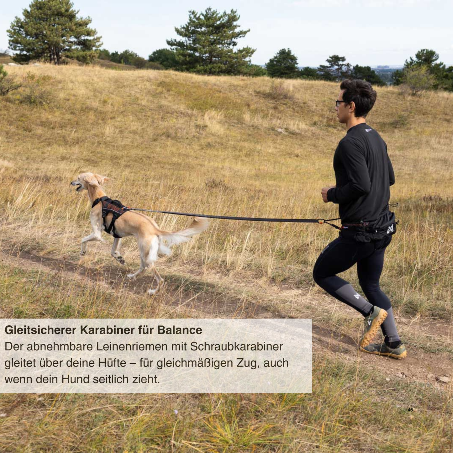 Trail light belt