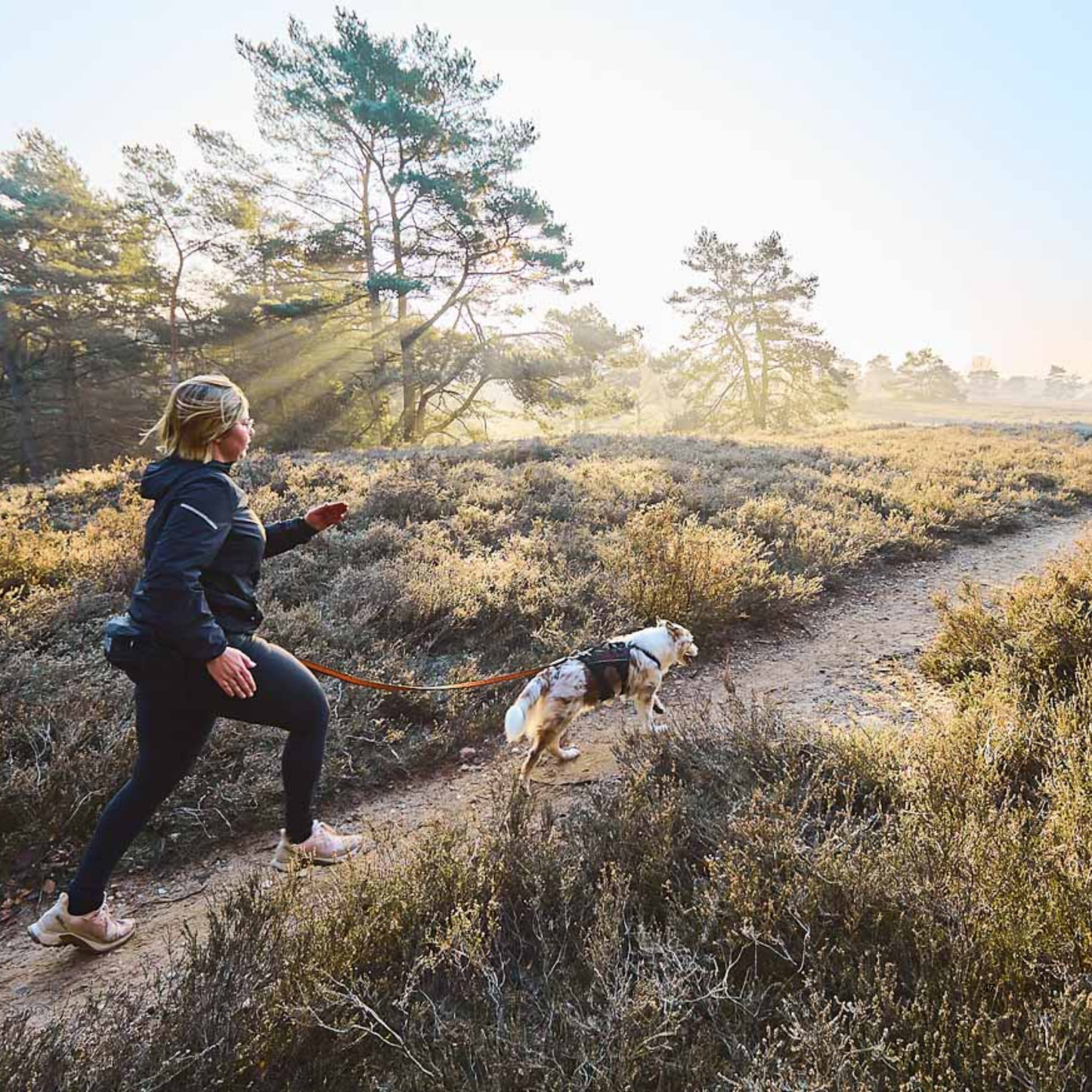 Trail light belt