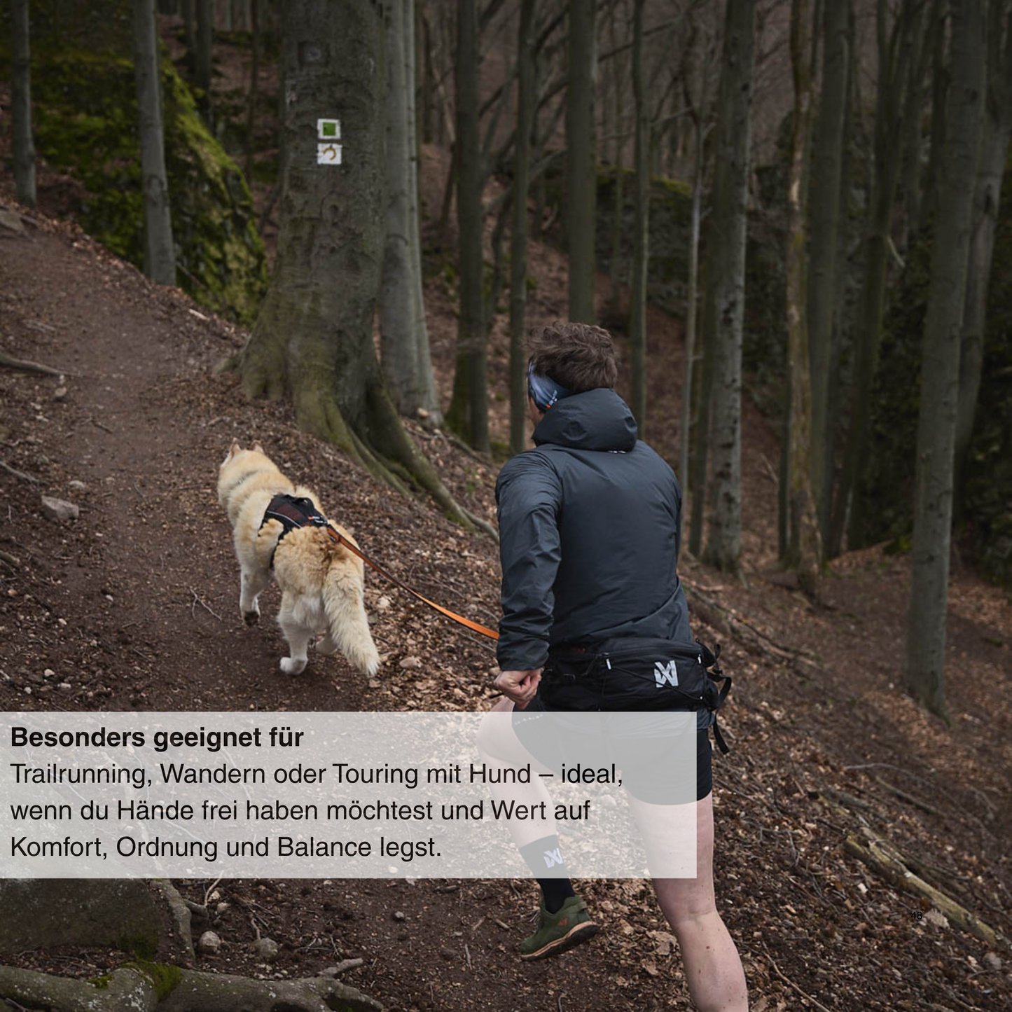Trail light belt