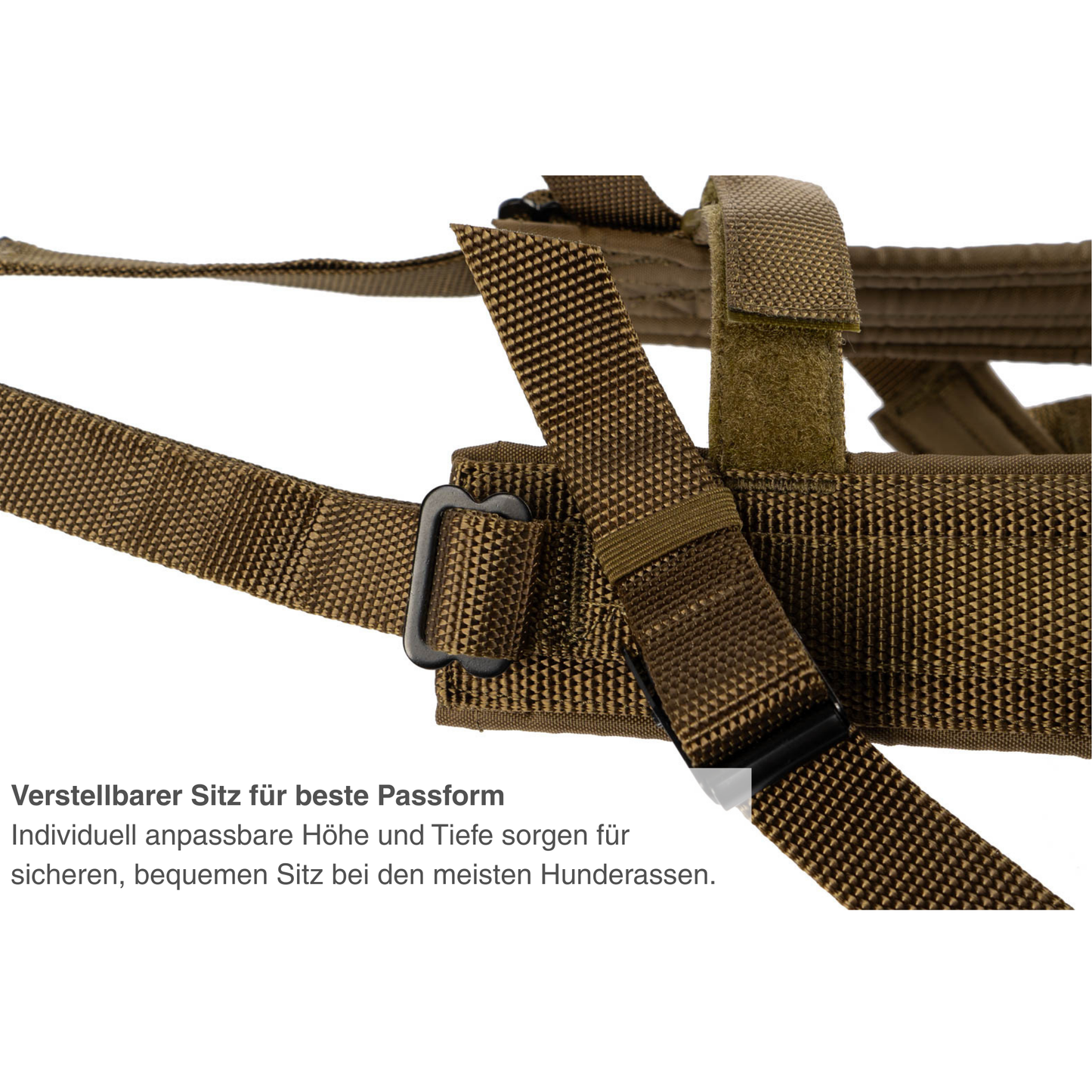 Freemotion harness WD