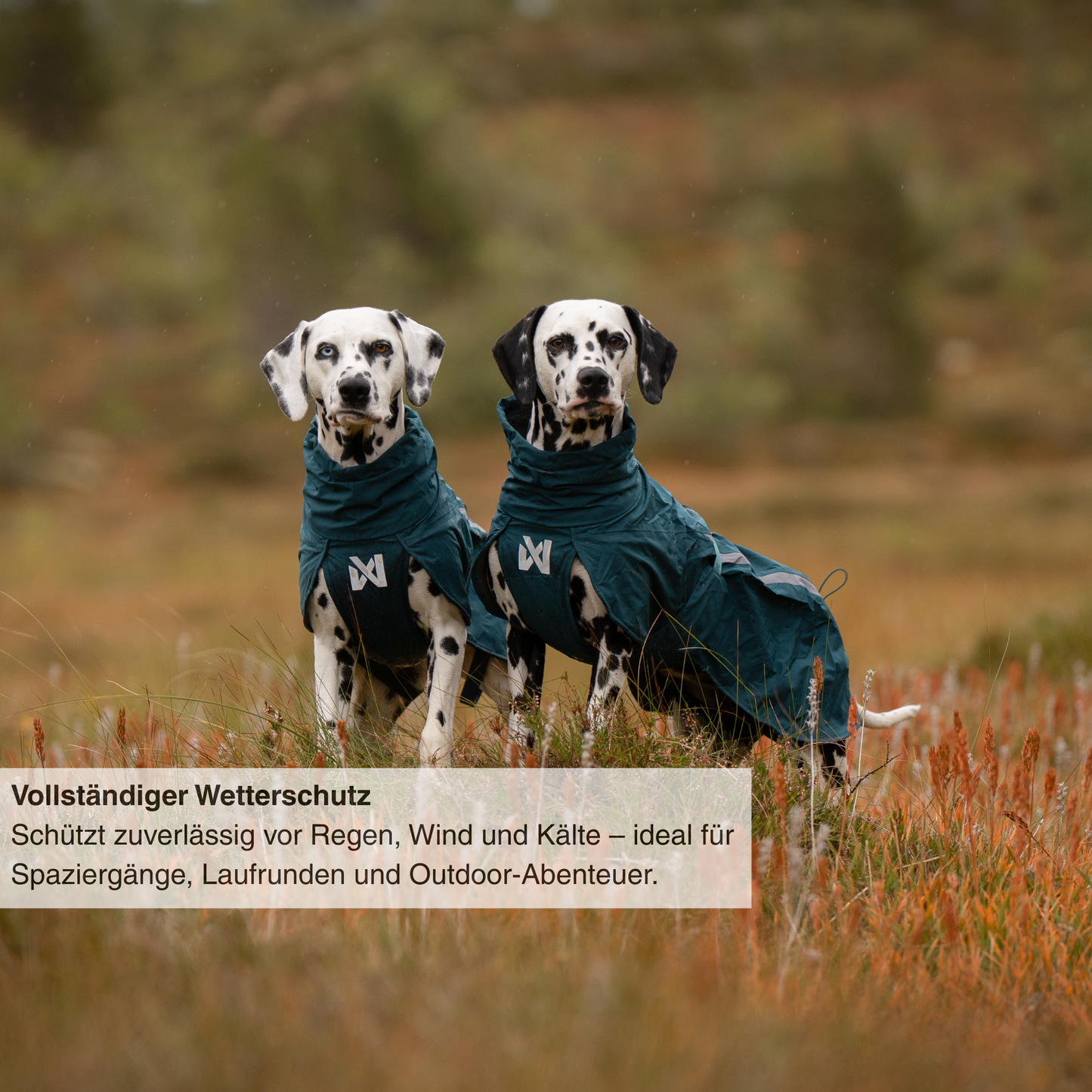 Fjord lined raincoat