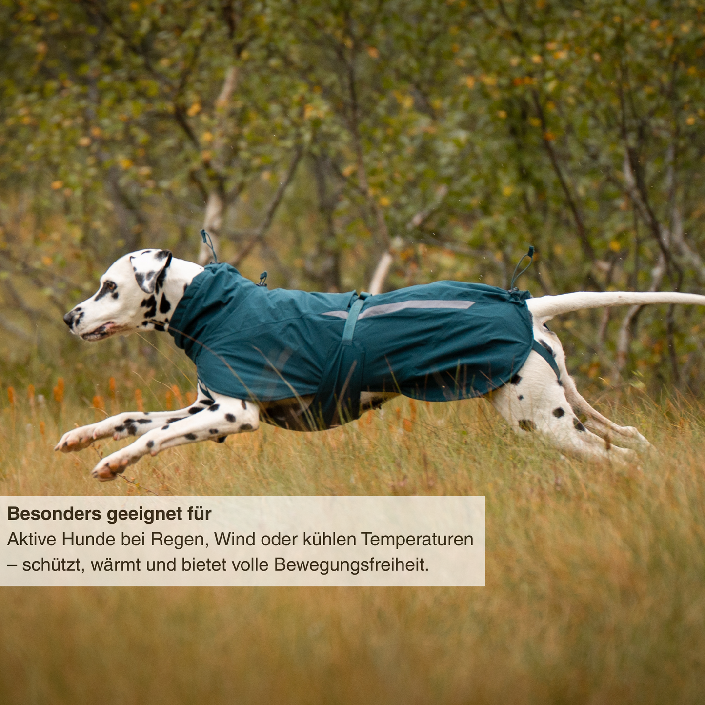 Fjord lined raincoat