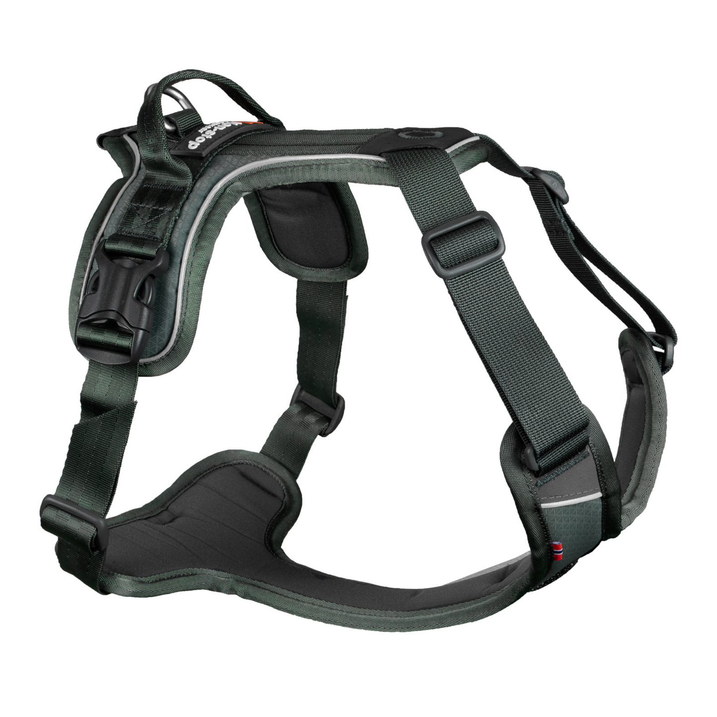Ramble harness