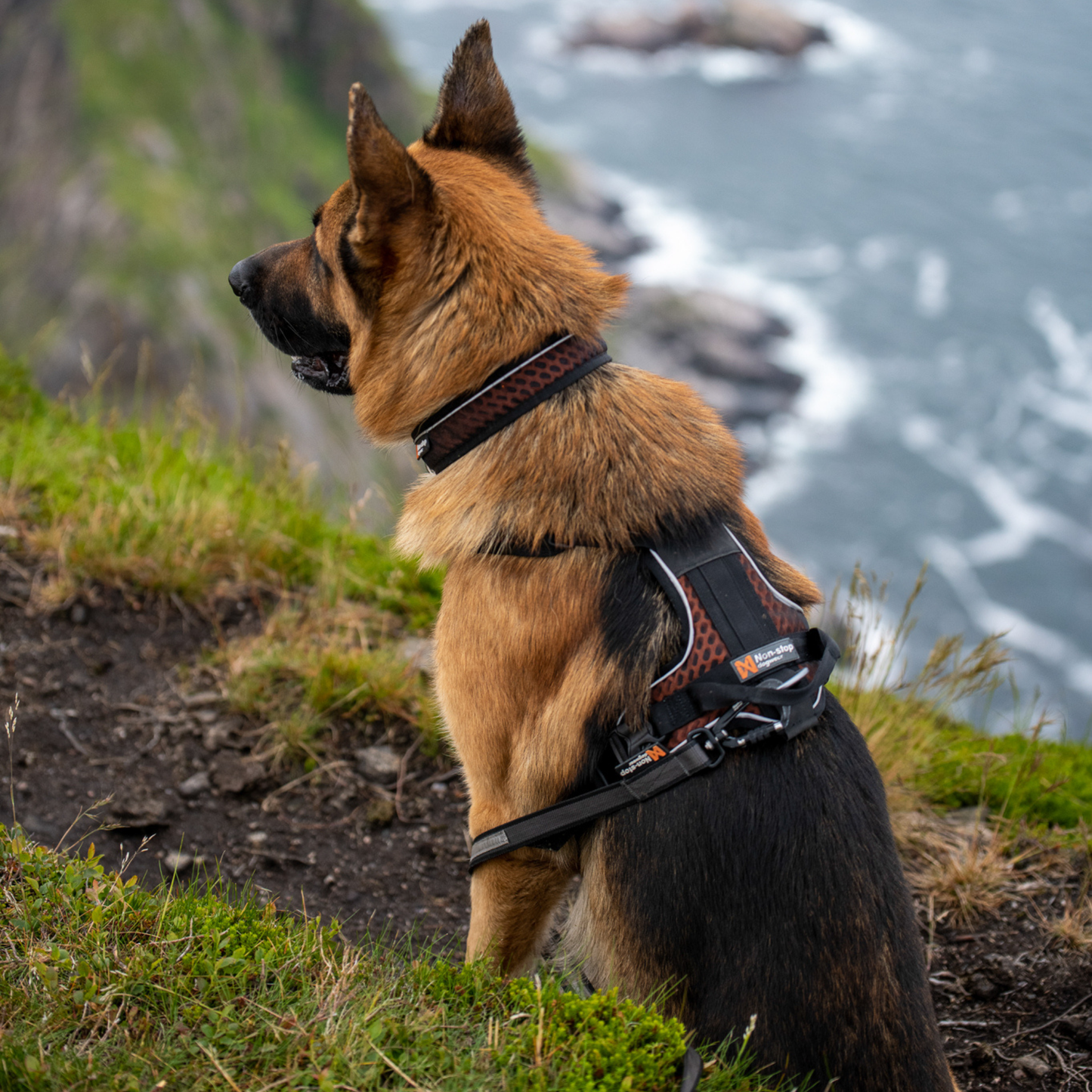 Rock adjustable collar