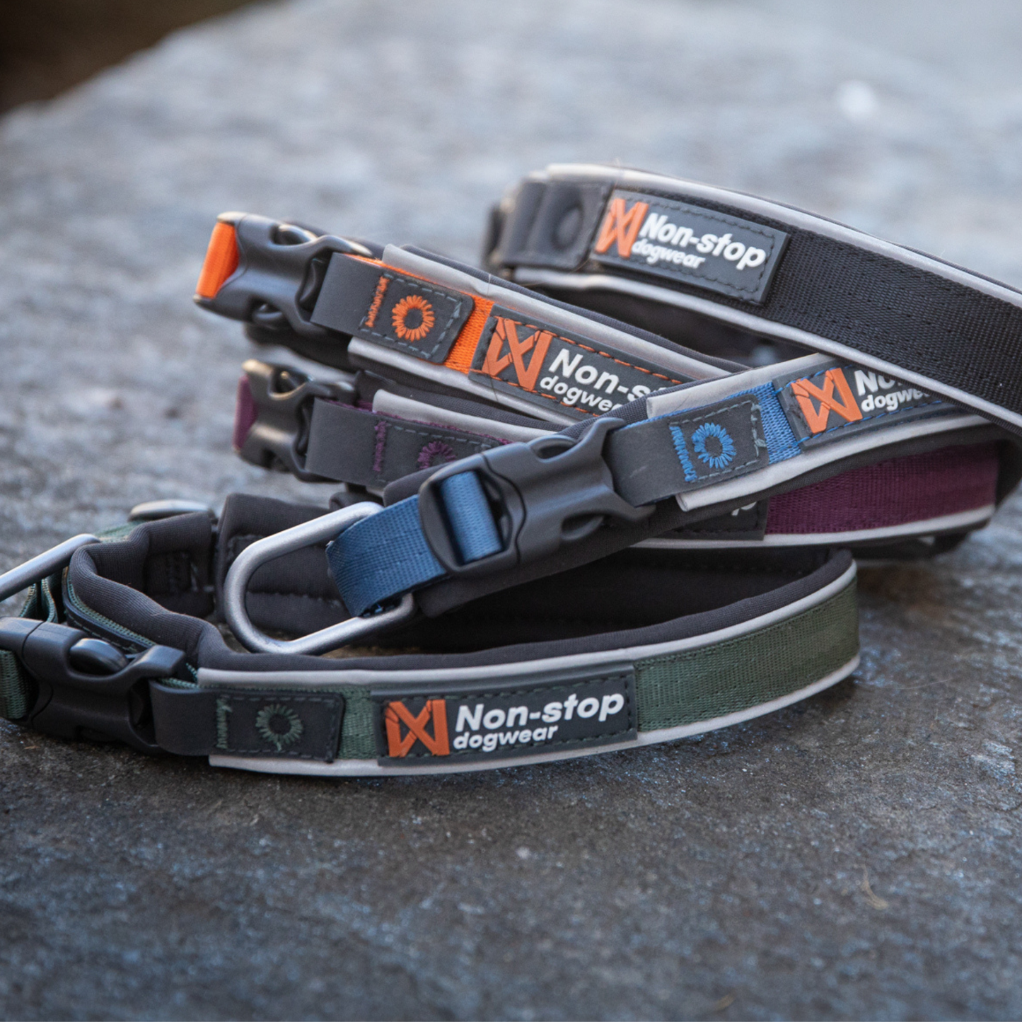 Roam collar