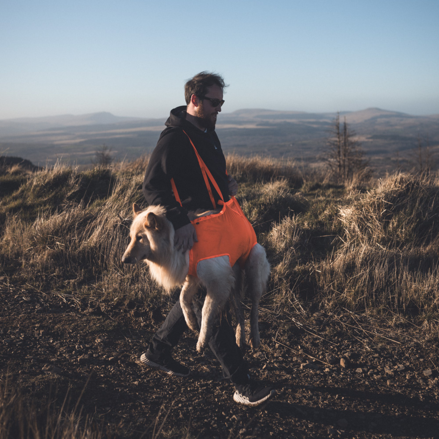Dog rescue sling