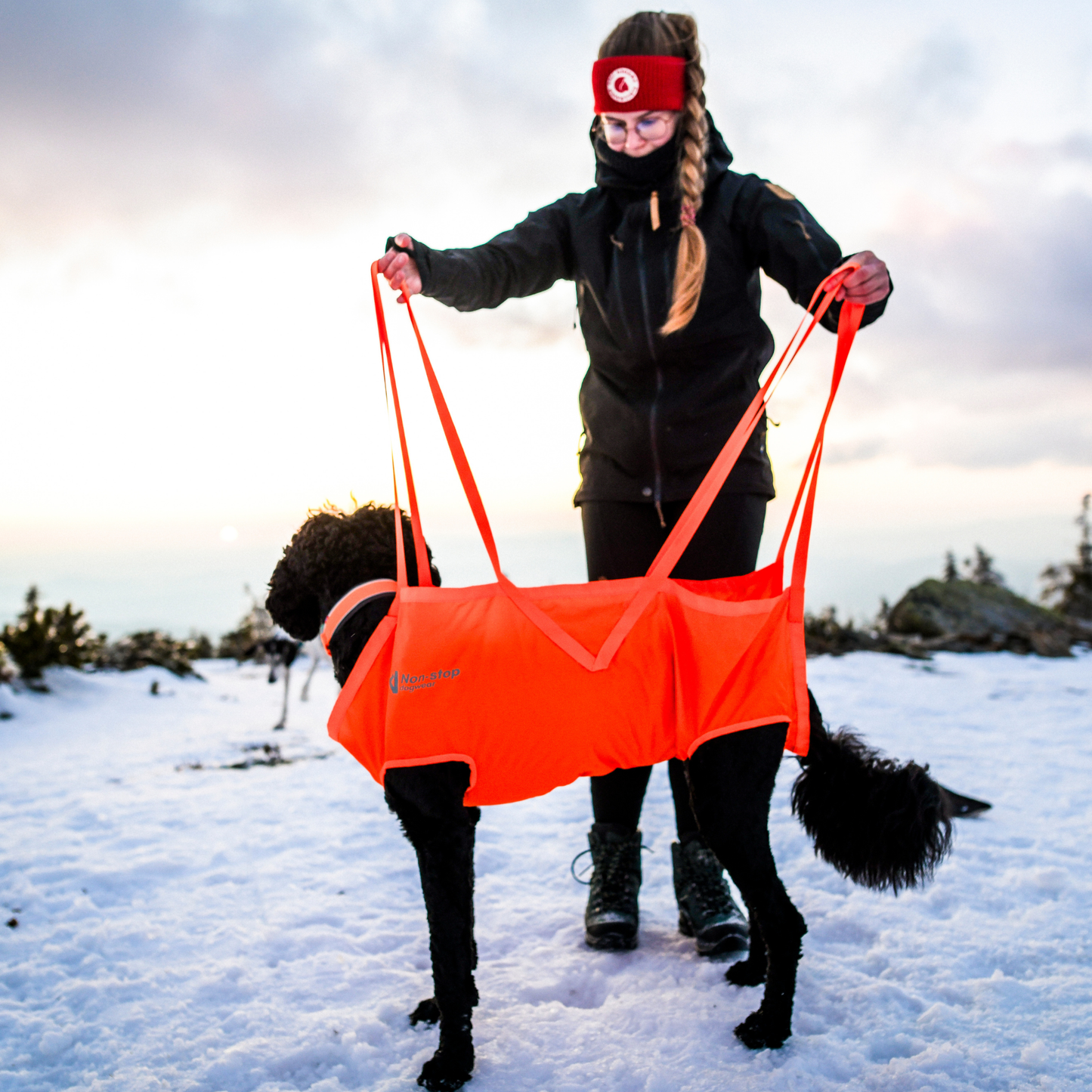Dog rescue sling